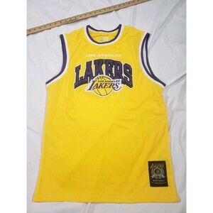 Los Angeles Lakers Ultra Game NBA Jersey purple Gold Yellow Mesh Men’s Medium